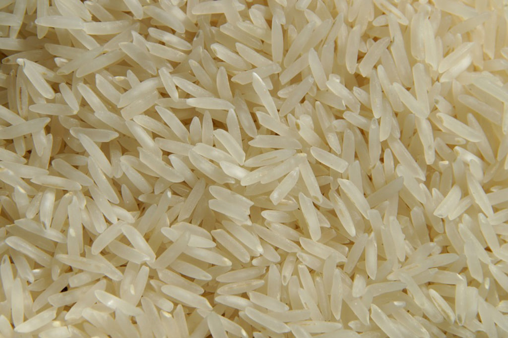 Reisprotein vegane Proteinquellen